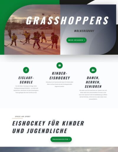 Agenda Solutions Webproject - Grasshoppers Wolkersdorf